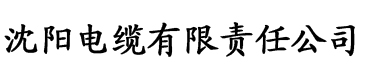 香蕉国产精品一区电缆厂logo